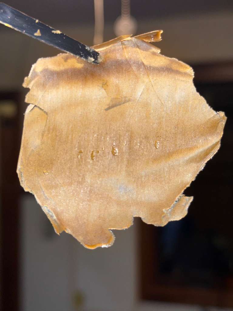 🥭 PAPAYA BLAST — 5★ DRY STATIC HASH