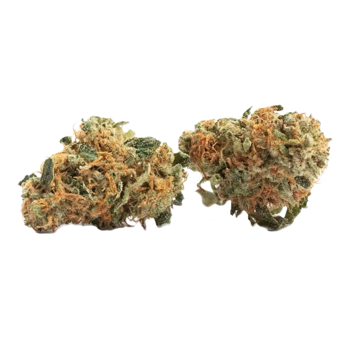 🫐Blue Berrymore — Cowboy's GreenHouse Flower
